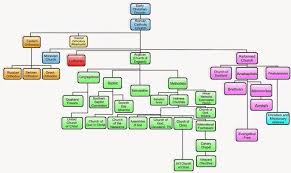 Org Chart Of Christian Sects Christian Missionary