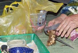 Contextual translation of kapur sirih into english. The Sireh Leaf And Betel Nut Culture In Brunei