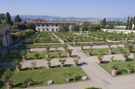 Tucked away in a Florentine Medici Villa is the World's Rarest Citrus  Collection