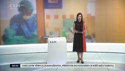 Her father was born in czechoslovakia. Mariana Novotna Stranky 11