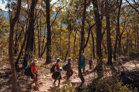 Στο tripadvisor θα βρείτε κριτικές από ταξιδιώτες, φωτογραφίες και φτηνά ξενοδοχεία (biloela, αυστραλία). Family Recreation Introduction To Bushwalking Journey Nsw