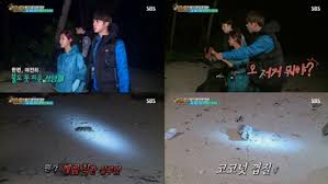 Play over 265 million tracks for free on soundcloud. Bts S Jin Sleepy Solbi Being Terrified Of Everything Was Viewers Favorite Moment Of Law Of The Jungle Soompi