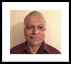 SUMMER 2023 AREA RESEARCH UPDATES