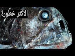 الاسماك الاكثر رعب في العالم سيذهلك ما سوف تعرفه Youtube