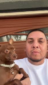 Pepe Alert: Chilling with the Big Homie Pepe