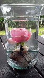 Tischdeko Rose Am Stein Im Wasser In Glasvase Glasvase Blumen Basteln Sommerdeko