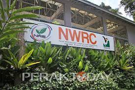 Tumbuhan memerlukan tanah pucuk untuk kelangsungan hidupnya. Nwrc Pkhl Mampu Jadi Tarikan Ekopelancongan Di Perak