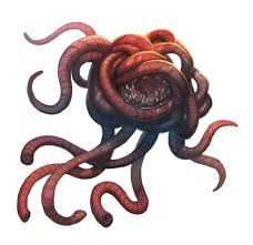 images?q=tbn:ANd9GcSdk6vSmgpoJXkW7uDrfBV