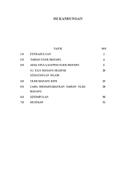 Putera aria merupakan raja bunian yang menguruskan jemaah bunian ke mekah. Seni Tarian Ulik Mayang Masyarakat Melayu Doc