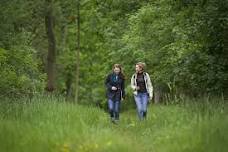 Solstice Wellbeing Walk