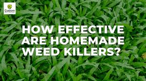 The pest control sprayers come in various sizes and can be used to spray various types of chemicals. How Effective Are Homemade Weed Killers