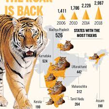 Tiger is one such animal that is a synonym to royal or majestic. On The Occasion Of International Tiger Day Prime Minister Narendra Modi Released The Results Of The Fourth Cycle Of All India Tiger Estimation 2018