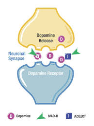 Stable Parkinson S Disease Drug Therapy Status Quo Could Soon Be Disrupted By New Category Entrants