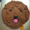 They're delicious (yes, they're human and canine friendly!), and a great way to celebrate another year with your bfff. 1