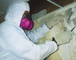 Does Lysol Kill Mold? - Effectiveness, Limitations, And Alternatives