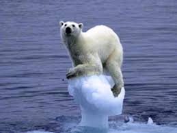 Image result for global warming photos