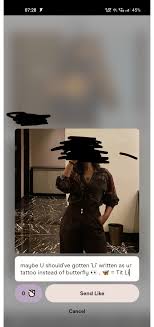 Mostly not gonna get matched anyway : rIndiangirlsontinder