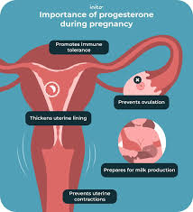 Image result for Pregnane Progestin