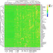 Image result for bioinformatics heatmap