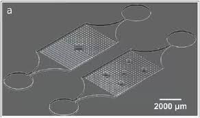Nonton fruits basket season 3 episode 6 sub indo download anoboy. Femtoprint S Technology Used To Help Produce 3d Printed Glass Molds For Droplet Microfluidic Chips 3dprint Com The Voice Of 3d Printing Additive Manufacturing