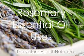 5 Rosemary Essential Oil Uses For Your Health And Home The Natural Health Nut Essential Oils Rosemary Essential Oil Uses Essential Oil Skin Care
