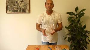 Faire une mangeoire et un nichoir pour oiseaux ! Comment Fabriquer Une Mangeoire Pour Oiseaux Avec Des Bouteilles En Plastique Youtube