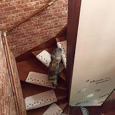 滑り止めマットのインテリア実例 2ページ目 roomclip ルームクリップ 滑り止めシート middot on walls ねこ ニトリ 2階 レンガ壁紙 西日 壁紙 レンガ 滑り止めマット インテリア