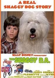 The Shaggy Da 1970s Disney Version Old English Sheepdog Famous Dogs Best Kid Movies
