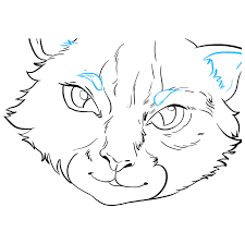 Chris desatoff is a cartoonist and blogger whose comic strips have been published in writehackr okay, who's ready to learn how to draw a cute little cartoon kitty cat? How To Draw Cat Eyes Really Easy Drawing Tutorial