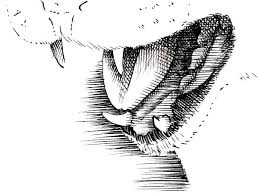 This tabby cartoon cat drawing is perfect for beginners. How To Draw A Cat With Pen And Ink