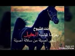 والأفضل للحائض أن تبقى على طبيعتها ، وترضى بما كتب الله عليها ، ولا تتعاطى ما تمنع به الدم ، وتقبل ما قَبِل الله منها من الفطر في الحيض والقضاء بعد ذلك ، وهكذا كانت أمهات. Ø§Ù„Ø´Ø§Ø¹Ø± ÙÙŠØµÙ„ Ø§Ù„ÙØ¶Ù„ÙŠ Youtube