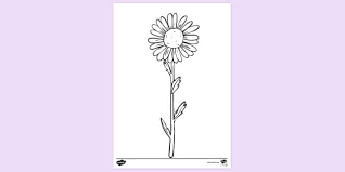 Free printable flower coloring page to download this template, click on the image below to access the pdf file. Daisy Flower Colouring Page Colouring Sheets