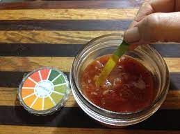 Test Acidity For Canning Education Mother Earth News