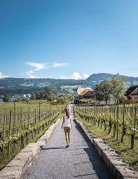 pin auf zurich reisetipps schweiz switzerland