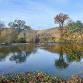 Birding the Mokelumne River Fish Hatchery event image