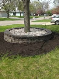 Creating a raised border around a tree has become one of the most popular ways to deal with this dead space. Tree Rings Lanedscaping Ideas Photos Houzz