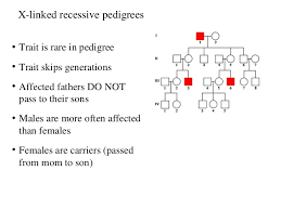 Draw A Pedigree Chart To Show Inheritance Of Any Of The
