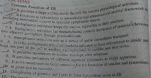The term organelle is derived from the word 'organ'. Write 5 Cell Organelles With Its Characteristics And Functions Brainly In