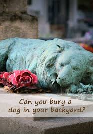 This will deter destructive diggers and escape artists from ruining your yard. Can You Bury A Dog In Your Backyard In 2020 Backyard Animals Backyard Small Pets