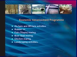 From the latest financial highlights, npo development sdn bhd reported a net sales revenue drop of 64.71% in 2019. Land Development As A Strategy For Poverty Alleviation