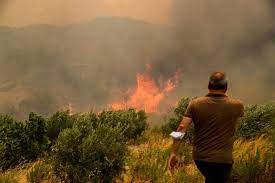 Wildfires are common in turkey's mediterranean and aegean regions during the arid summer months. Pikzztyeaqdg0m