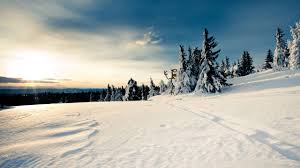 Check spelling or type a new query. Winter Wonderland Hd Wallpaper