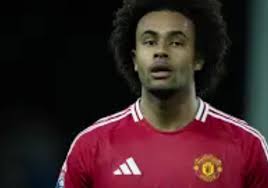 Zirkzee Goal Celebration