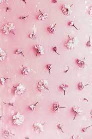 707 x 1133 jpeg 106 кб. Pin By Giuliana Devivo On Wallpaper Pastel Pink Wallpaper Cherry Blossom Background Pink Flowers Wallpaper