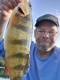 Lake near Fox Creek with jumbo perch?