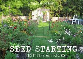 Seed Starting For Beginners Sow Inside Grow Outside Empress Of Dirt Seed Starting Propagating Plants Starting Seeds Indoors