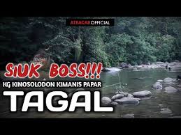 Kota metropolis ini tetap mempertahankan sejarah dan warisan budayanya. Tagal Kg Kinosolodon Kimanis Papar Tempat Menarik Di Sabah Siuk Boss Visitsabah Youtube