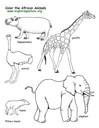 Carnivores don't deserve to be the best. African Animals Coloring Pages Timeless Miracle Com