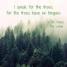Lorax (2012) family clip with quote i am the lorax. I Speak For The Trees For The Trees Have No Tongues Dr Seuss The Lorax Whollygrail Environment The Lorax Tr Tree Quotes Nature Quotes Nature Quotes Trees