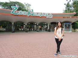 Grab a ticket that includes admission to both the park and their famous giant. Free Entrance To Zoo Negara
